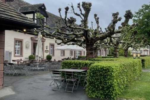 Schloss Corvey Schloss Cafe mit Bäumen und Sitzplätzen. Im Hintergrund das Schloss Cafe