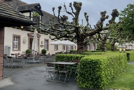 Schloss Cafe mit B&auml;umen und Sitzpl&auml;tzen. Im Hintergrund das Schloss Cafe