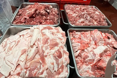 Schweinefleisch