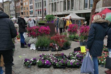 Der Marktplatz