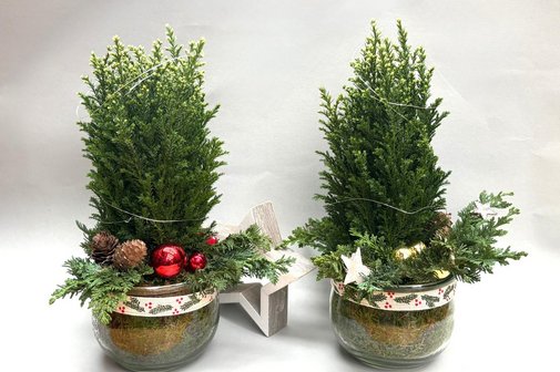 Zwei Tannenbäumchen mit goldenen und roten Weihnachtskugeln in einem Glas