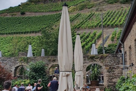 Weingut Kloster Marienthal