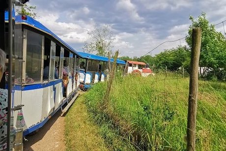 Straußenfarm die Rückfahrt