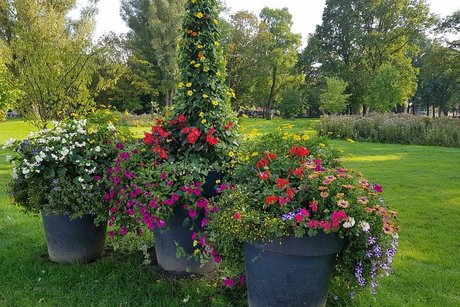 Mit bunten Blumen bepflanze, große Betonkübel stehen auf einer von Bäumen gesäumten Wiese.