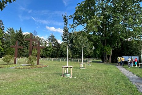 Das Bild zeigt eine Kriegsgr&auml;berst&auml;tte im Vordergrund links drei gro&szlig;e rostfarbene Eisenkreuze.