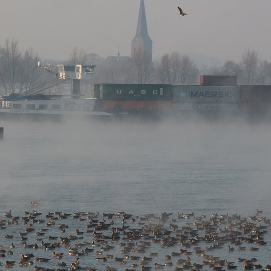 Dom im Nebel Dom im Nebel