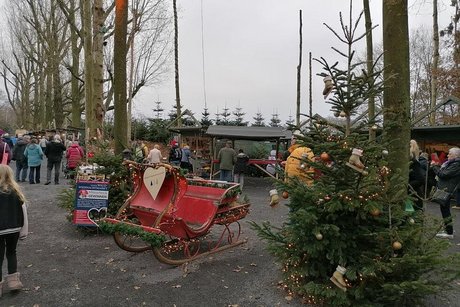 Mitten auf dem geschotterten Weihnachtsmarktgelände steht zur Dekoration ein mit Tannengrün und Lichterketten geschmückter, roter Pferdeschlitten.