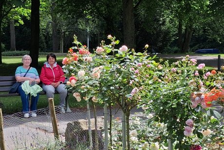 Ausflugsfahrt nach Bonn in den Rheinauenpark Ausflugsfahrt nach Bonn in den Rheinauenpark