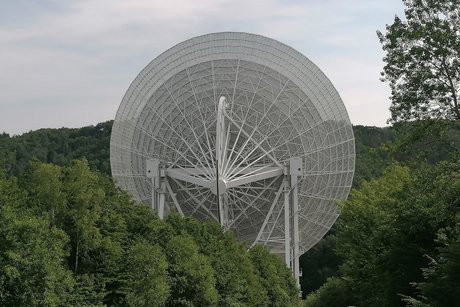 Radioteleskop ragt aus dem Wald hoch heraus