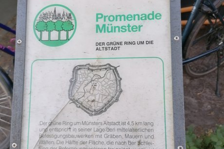Münster