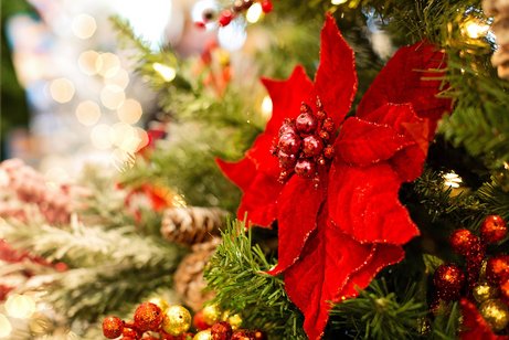 Weihnachten 23