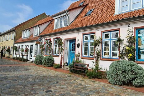 Rosen und Lavendel blüht an den Fassaden der kleinen Altstadthäuser in Schleswig.