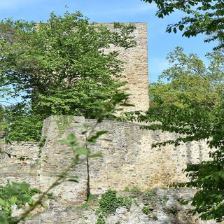 Frühling an der Burgruine der Hardtburg in Stotzheim