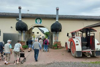 Eine Gruppe Menschen läuft durch das von zwei überlebensgroßen Straußen gesäumte Tor zur Straußenfarm. Links vor dem Gebäude steht eine Art Trecker.