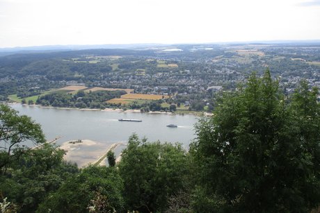 Blick vom Drachenfels zum Rhein