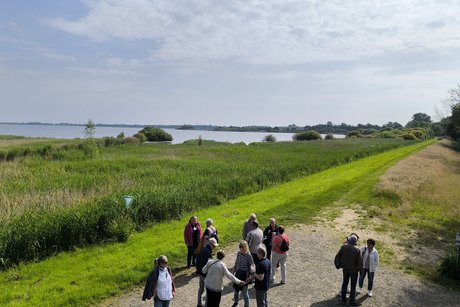 Dümmer See 08.06.2024