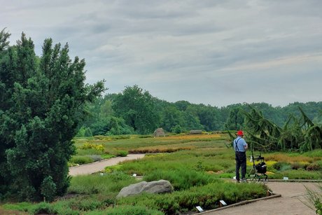 Heidegarten Schneverdingen