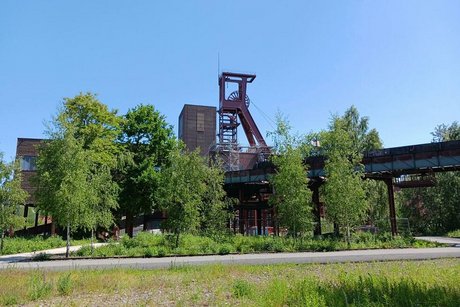 Zechenbrache mit blühendem Grünstreifen im Vordergrund und dem hinter Büschen und Bäumen halbverborgenem Förderturm und Zechengebäude.