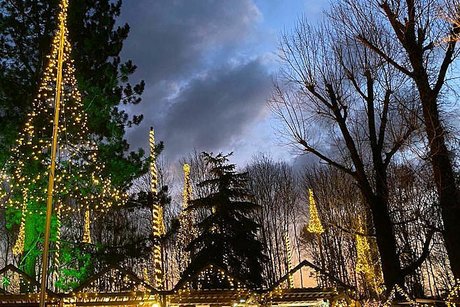 Weihnachtliche Stimmung herrscht bei einbrechender Dunkelheit auf dem Marktgelände im Wald, dessen Bäume zu großen Teilen mit Lichterketten geschmückt sind.