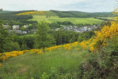 VdK Neunkirchen