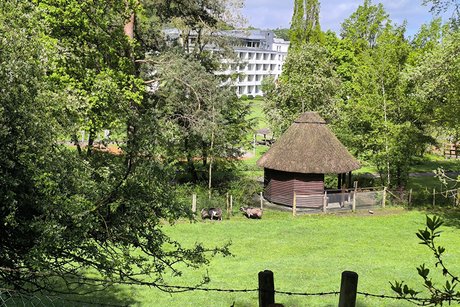 Brilon Mai 2026