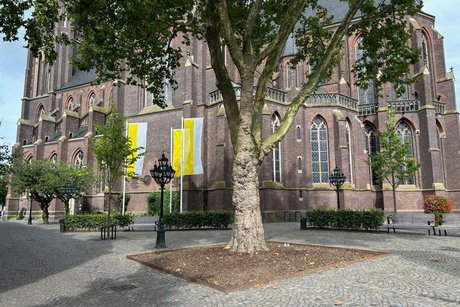 Johannes Stalenus Platz