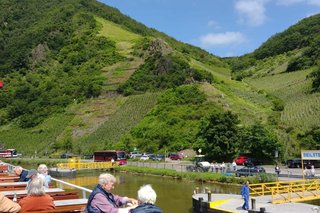 Blick auf die Weinbergeuvom Schiff