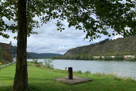 Landschaftsbild mit Blick auf Rhein