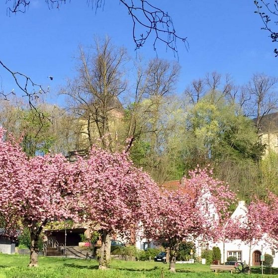 Klever Schwannenburg unbekannt