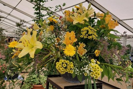 Blumen der Landesgartenschau