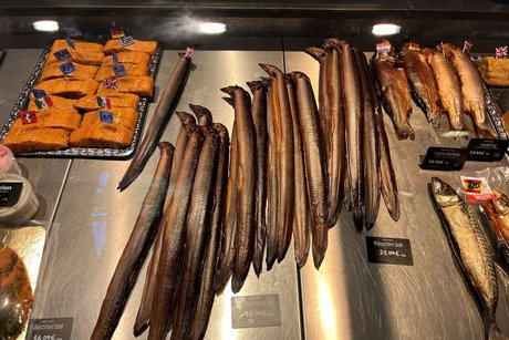 Tagesfahrt zum Dümmer See zur Fisch- und Aalräucherei Hoffmann