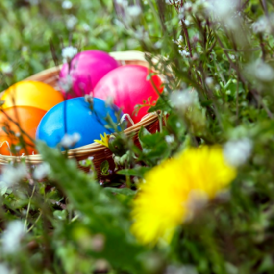 Frohe Ostern
