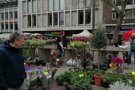 Blumenstände