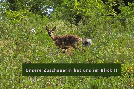 VdK Neunkirchen