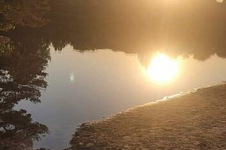 Abenstimmung am See: die Sonne verschwindet langsam hinter den Baumwipfeln am Ufer und spiegelt sich in der glatten Oberfläche des Wassers.