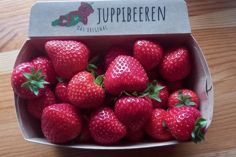 Ein K&ouml;rbchen mit frischen Erdbeeren vom Spargelhoff Hensgens "Juppi".
