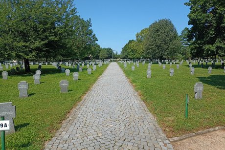 Das Bild zeigt einen Hauptweg mit rechts und links davon Reihen von steinernen Grabkreuzen