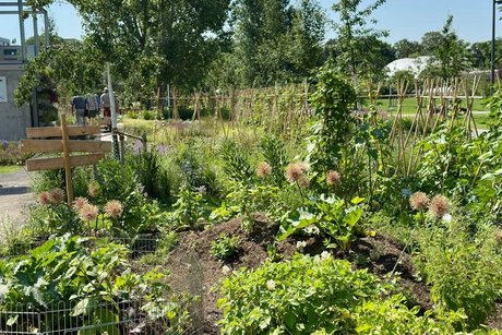 Auf der Landesgartenschau in Neuss
