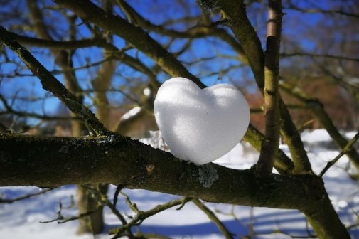 Schneeherz Ein Herz aus Schnee auf einem Ast.