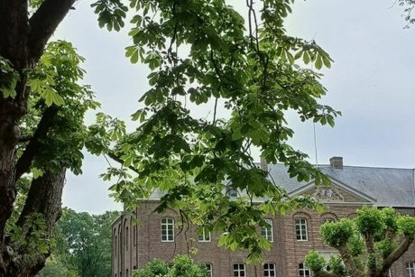 Schloss Arcen Schloss Arcen