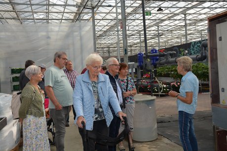 Gruppenteilnehmer Teilnehmer hören den Erklärungen der Dame von Emsflower im Gewächshaus zuzu