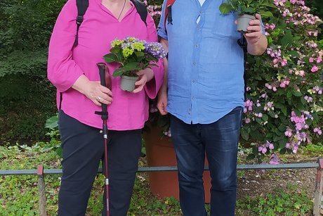 Hortensienfest