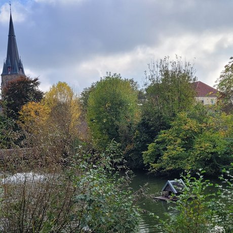 Göcken Teich im Hintergrund die Nikomedeskirche