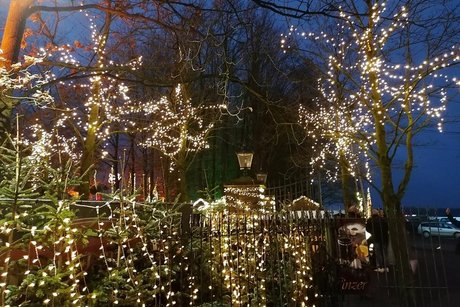 Die mit Lichterketten geschmückten Zweige der kahlen Laubbäume heben sich deutlich vor dem dunklen Winternachthimmel ab.