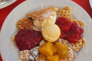 Großaufnahme einer puderzucker-bestäubten Waffel mit einer Kugel Eis in der Mitte und dreierlei Sorten Frucht drumherum.