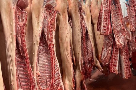 Schweinehälften