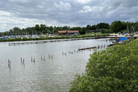 Tagesfahrt zum Dümmer See zur Fisch- und Aalräucherei Hoffmann Tagesfahrt zum Dümmer See zur Fisch- und Aalräucherei Hoffmann