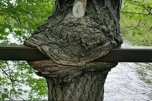 Herbsttreffen 2025 Nr. 1 Rheda-Wiedenbrück