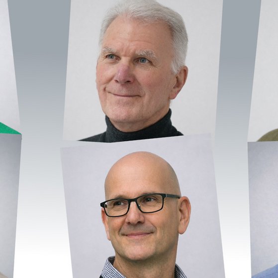 Kollagenfoto des Vorstandes