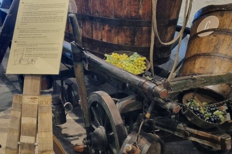 Besuch Weingut Schloss Rametz Meran